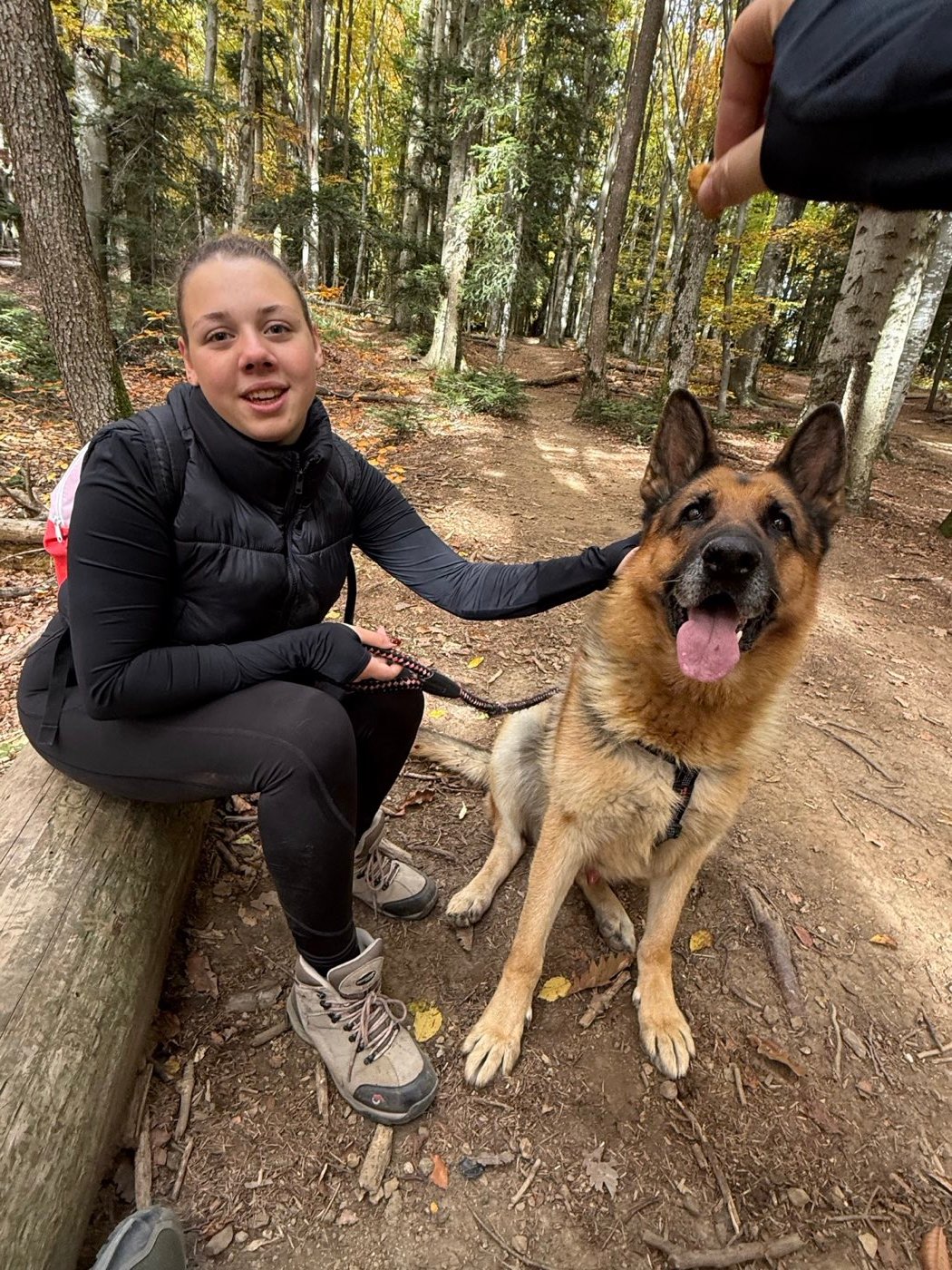 Puki sjedi na deblu u šumi i mazi Bonnija